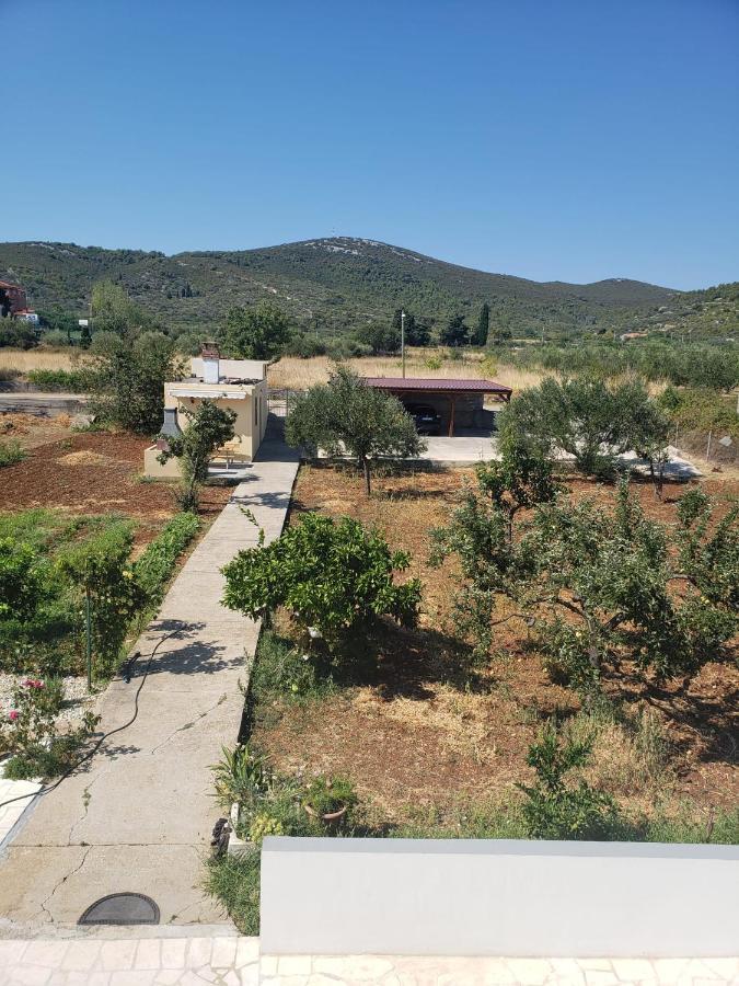Apartmani Ciklic Dobropoljana Dış mekan fotoğraf