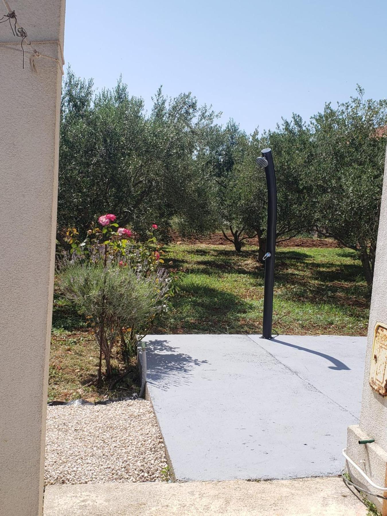 Apartmani Ciklic Dobropoljana Dış mekan fotoğraf